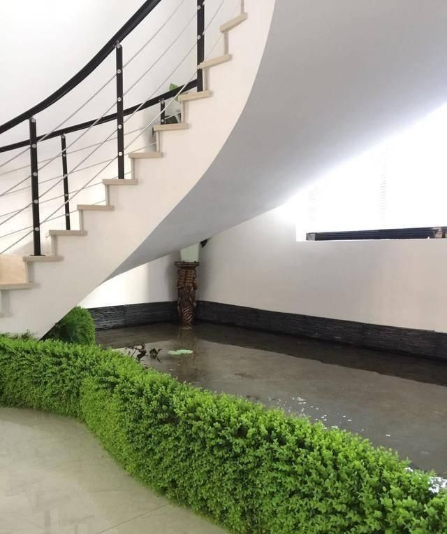 庭院|头一次见到户型不带院子,偏偏要在室内建庭院,没想到还这么漂亮