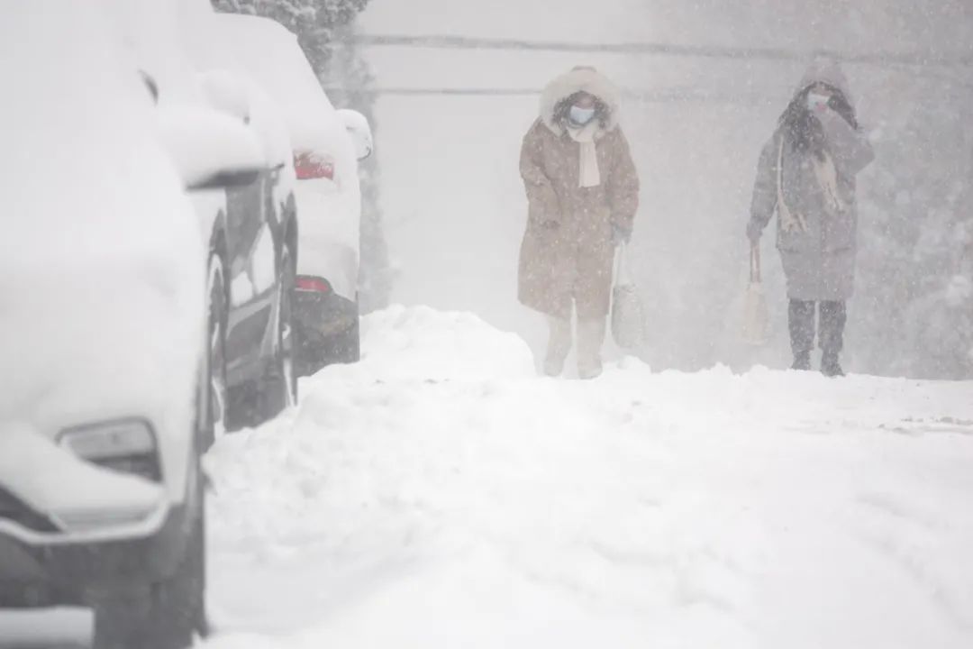 蓝色预警|雪，一片一片一片一片……