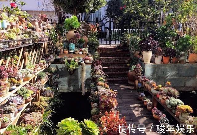 养花换土太麻烦,丢下这“2物”,土壤焕然一新,养啥花卉都爆盆