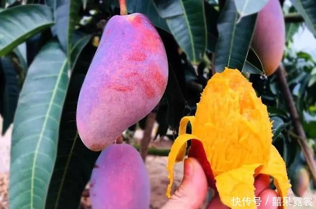 人到中老年,不管有钱没钱,建议常吃这3种食物,比保健品强多了!