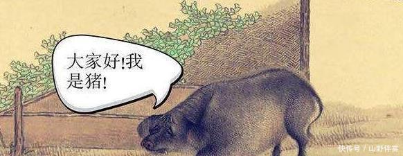明朝|朱元璋姓朱,那明代的猪都叫什么说出来不信你不笑!