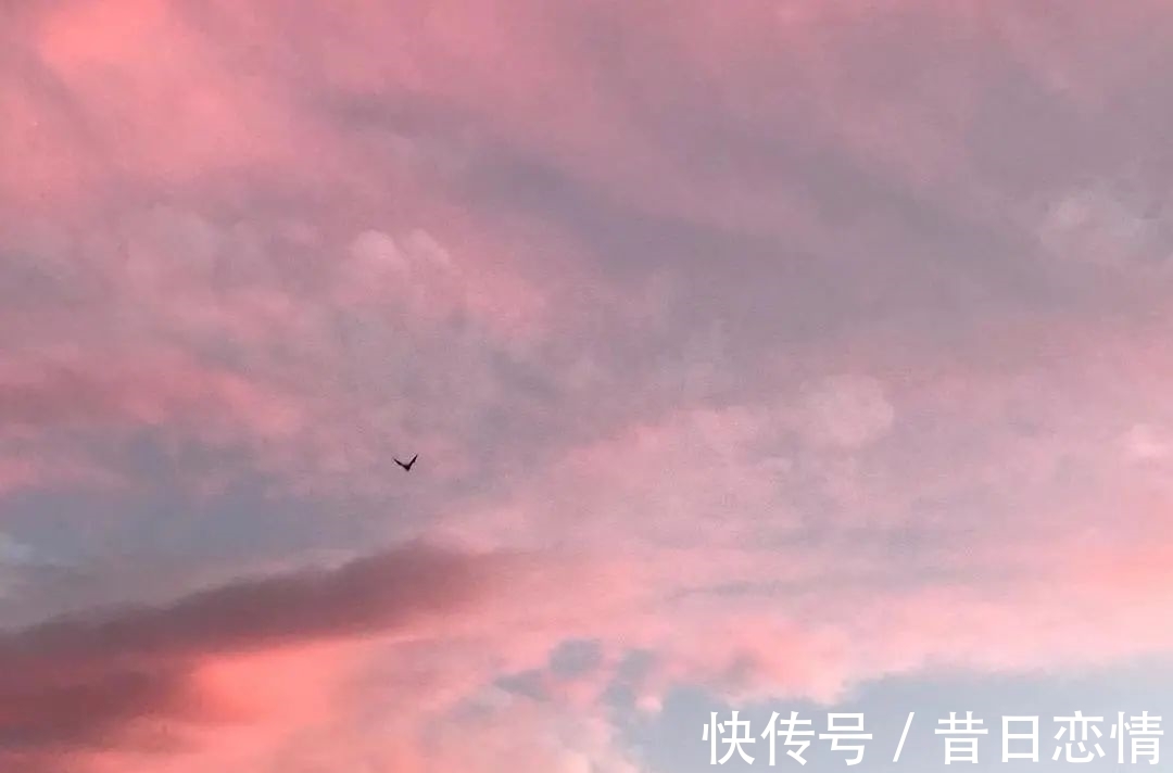 诗句|当年背到头秃的古诗,瞬间读懂了……