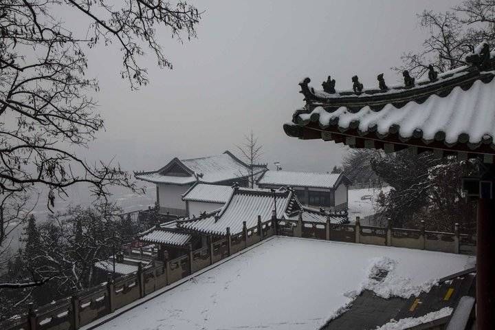 雪景|冬日的魅力｜登千佛山拍摄雪景