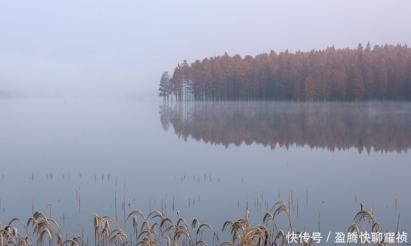 梦境|走进初冬的太子山，如同走进一场美丽的梦境