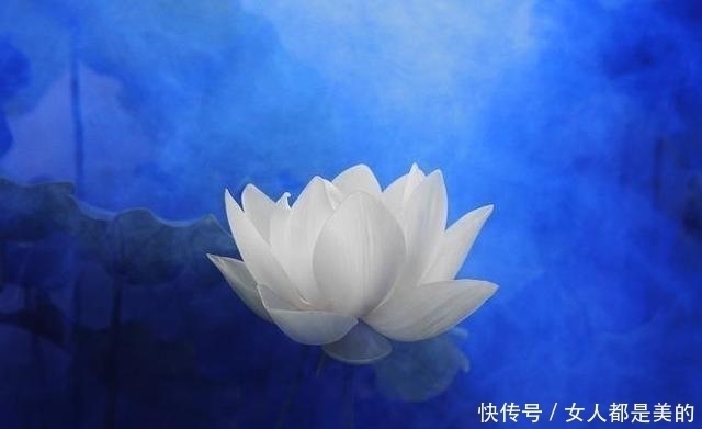 李渤|忍辱，是胜人的一种力量，万法常空灭，无生因忍全