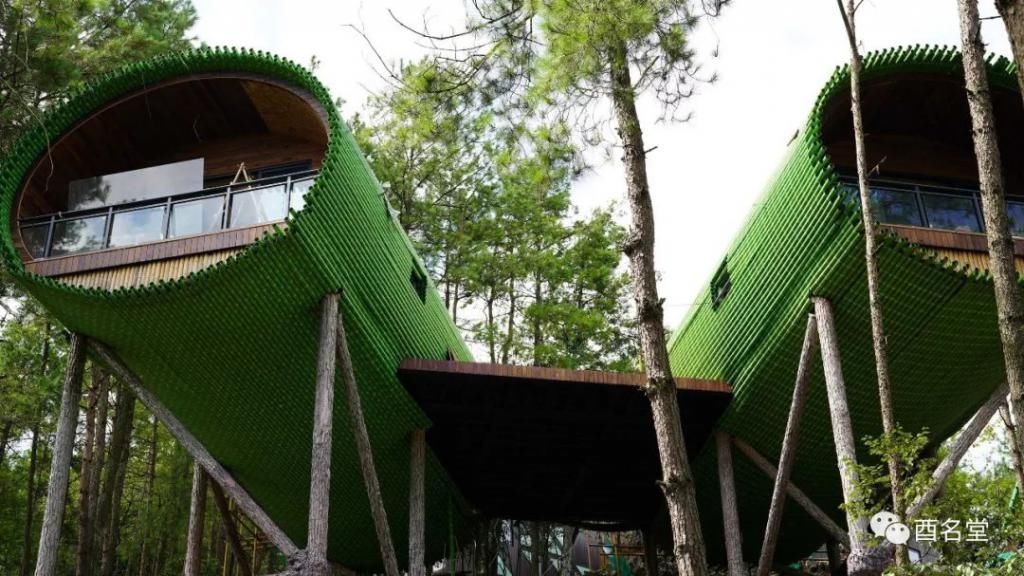 修树屋、帐篷酒店、无边泳池……金银山上在悄悄咪咪干大事