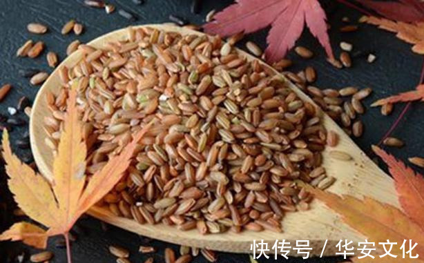 补充营养|想长寿先养生,四种食物换着吃,补充营养,软化血管,老人最爱吃