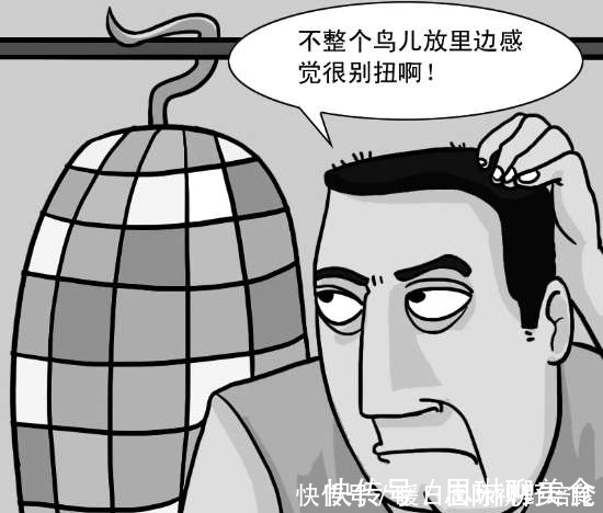 卡尔森&你难以抗拒的心理效应:鸟笼效应!看惯性思维如何将你的人生套牢