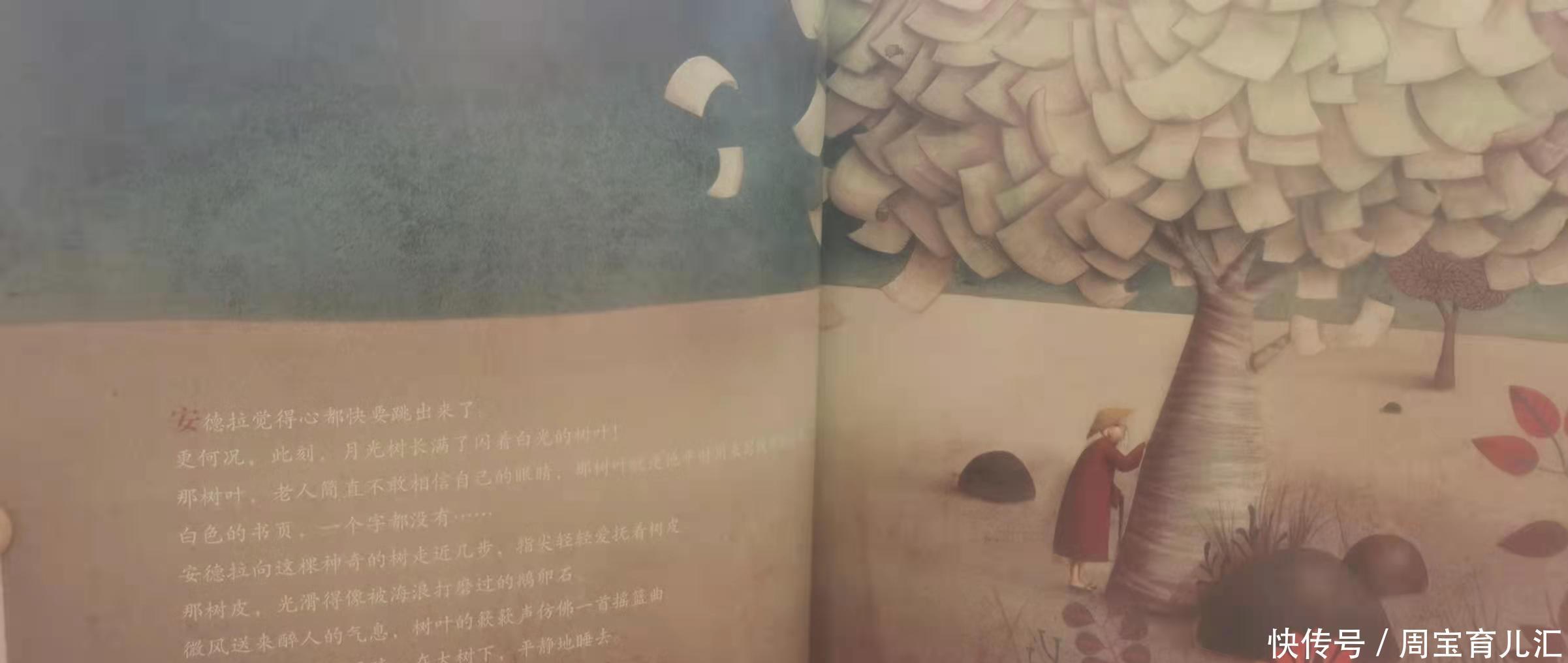 万物|《无字书》:一本长出来的无字书,孩子却能读懂它承载的万物故事