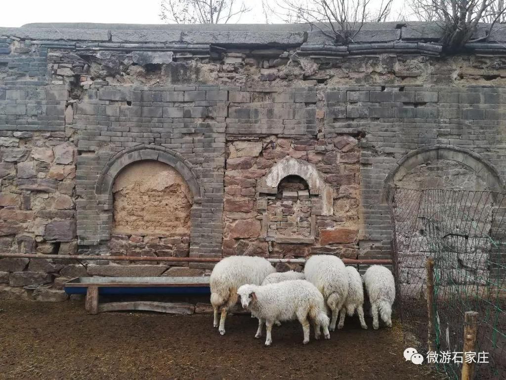  窦建德|“羡慕死了”～井陉一村庄竟做过古时首都！