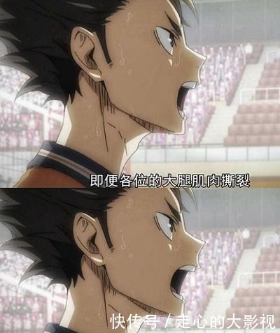 排球少|堪称近年来最强运动番大概这才是青春该有的样子!