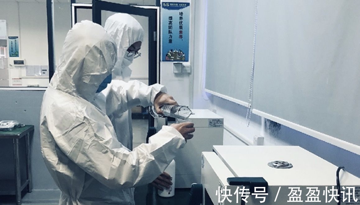 营收|五年后,华为又指明老问题,研发投入1418.93亿,营收暴跌46.95%