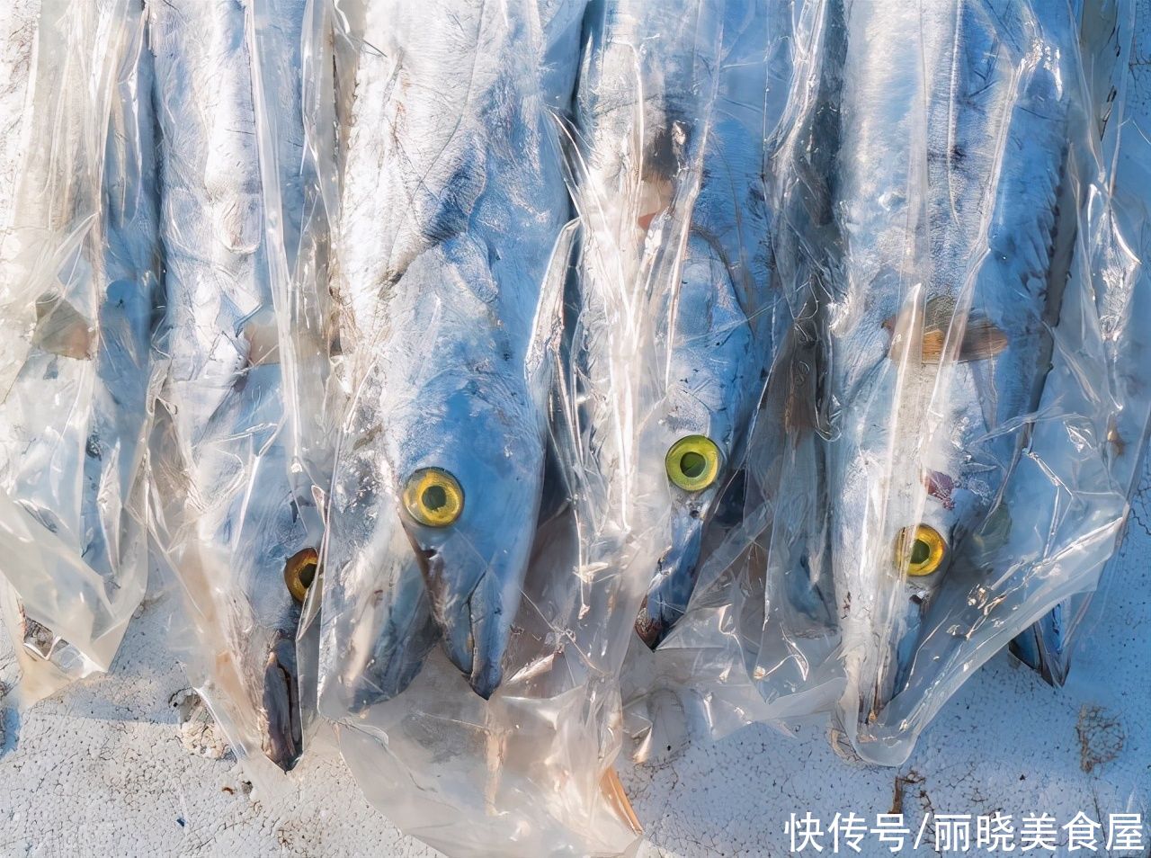 眼睛|带鱼牢记3买4不买，黄眼睛和黑眼睛买哪种好？颜色不同差别很大