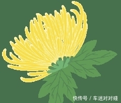 金虎尾科|【你好!大自然】第176期:版纳植物园撷芳(十之五)