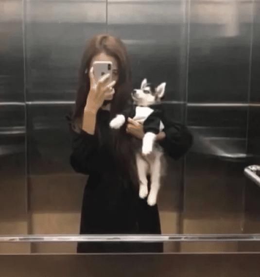 癌症|“一个人要是同时得了艾滋病和癌症，是不是就能无敌”哈哈哈哈神奇的脑洞