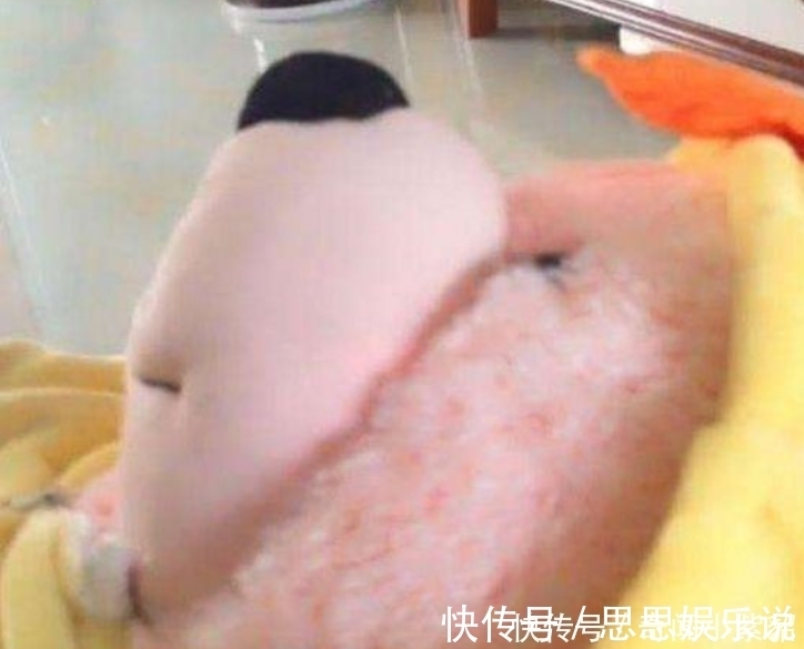 妈妈|妈妈发现儿子反常的坐着看书,走过去细看,接着哈哈笑不停