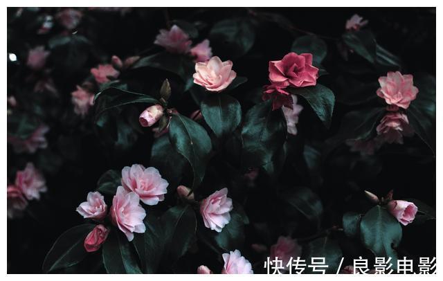 快穿之反派又黑化了|《快穿之反派又黑化了》:剧情有点老套,但真的上头。