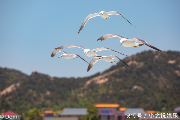 清凉夏日，拥抱星辰大海，西霞口的三天两夜之旅