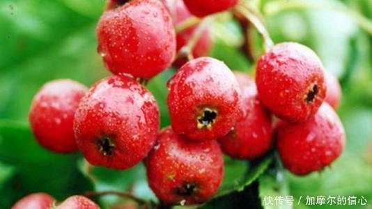 胃穿孔|3种水果''伤胃不浅'',你若常吃,胃将''烂''得更快,劝趁早戒掉