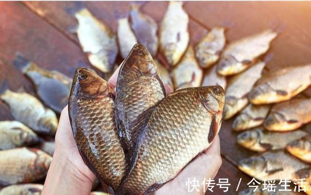 雨天钓鱼，钓法如何选？实践经验供你参考