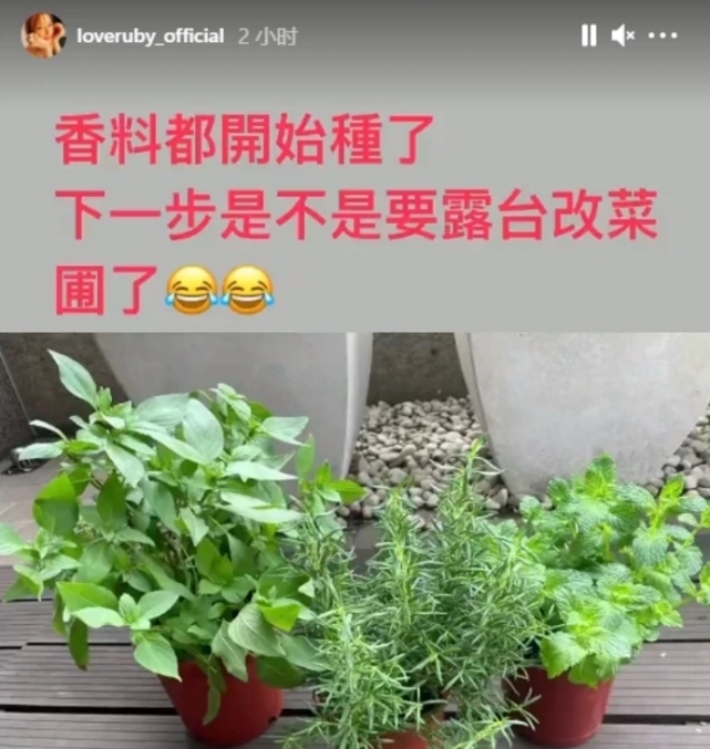 美厨娘|林心如再秀厨艺，变着花样给老公女儿做美食，霍建华父女太有口福