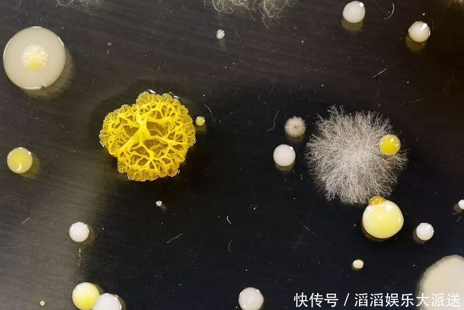 感冒|一场小感冒花了31万?孩子经常用的这种药,危害有多大?
