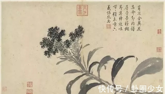 观物写生册&明代对景写生大家|沈周花鸟画《观物写生册》