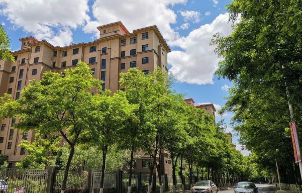 东户|建筑学家:楼房为何西户被哄抢一空,而东户却没有多少人选择?