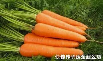 喝水|排尿黄,异味大可能是这些问题在作怪,别傻傻以为是上火了