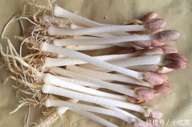 色斑|女人不吃它就可惜了,隔天拉出黑臭宿便,越吃越瘦,色斑也消失了