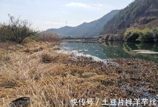 新钓位聚鱼慢?开发钓位有4个步骤,少一步都会影响上鱼