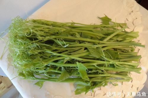 想長(zhǎng)壽得會(huì)吃,三種食物換著吃,皺紋淡了,皮膚細(xì)膩,眼睛更明亮