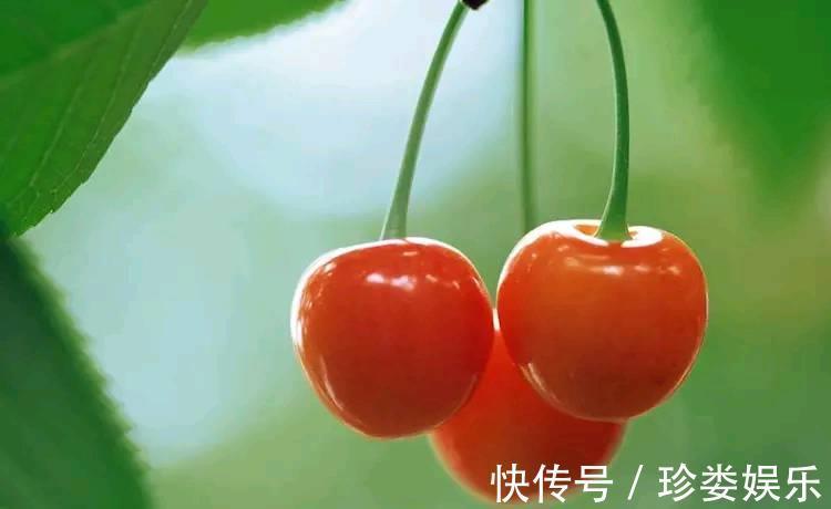 食物|女性想要皮膚好，常吃3種食物，美容養顏，減脂瘦身、甩掉大肚子
