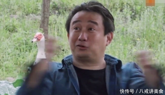 小o|自称是《向往的生活》粉丝，杨紫的频频“翻车”，却让人尴尬至极