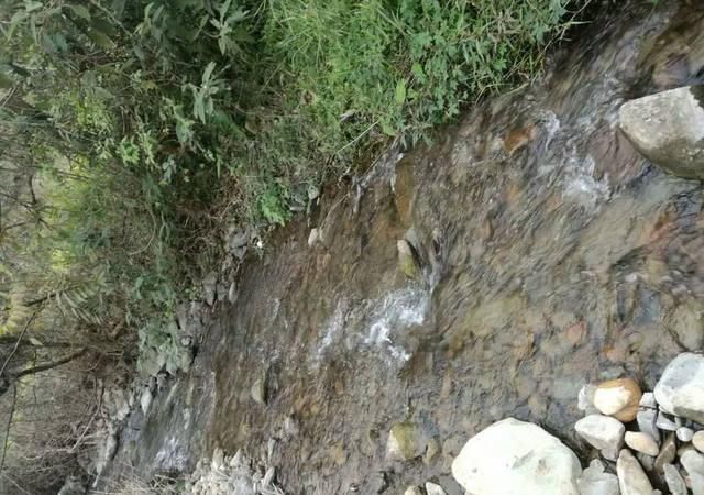 打工仔回到家乡,再钓一次故乡河里的小鱼