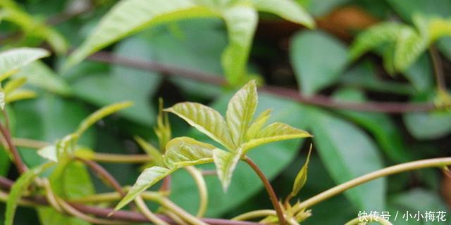 感受不到地球自转认真观察这4个现象,在日常生活就有