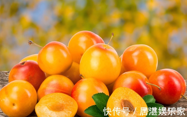 排水|李子美容养颜,润滑肌肤,做好3点,一样种出健康营养李子来