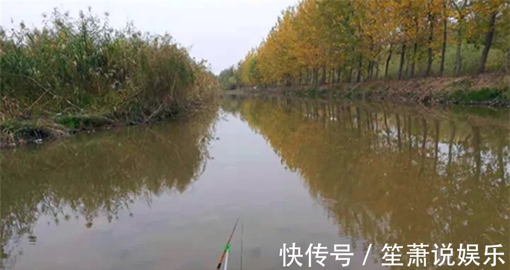 鲫鱼|冬钓选钓位,就选这四个位置,天气越冷越聚鱼