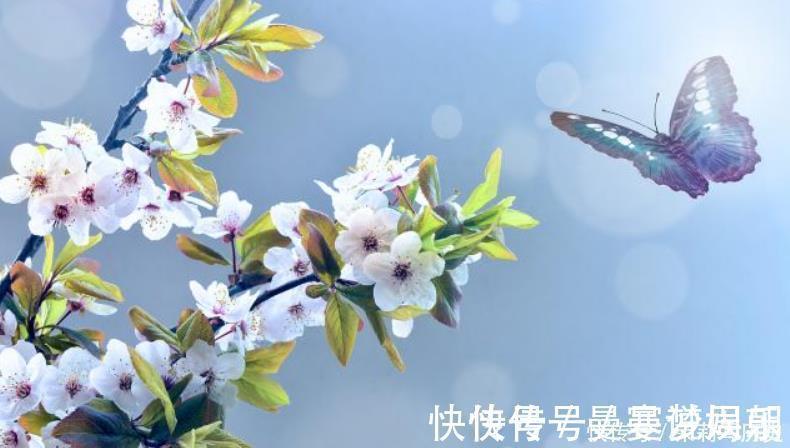 词人@朱淑真婚后觉得不幸福,写首绝美词思念意中人,却成一首千古名作