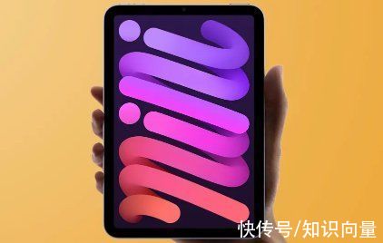 iP苹果公司能否因祸得福？iPad mini 6 大面积“果冻屏”遭集体诉讼