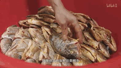 開播9.7，B站最“俗”國綜回歸了