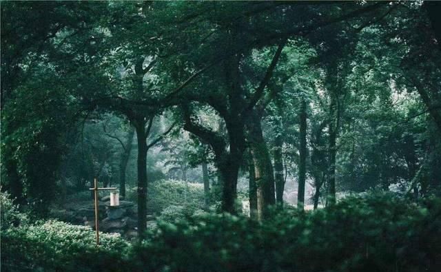 科考案|明代唐伯虎写一首古诗自命清高,最终一句古诗词常常听郭德纲谈起