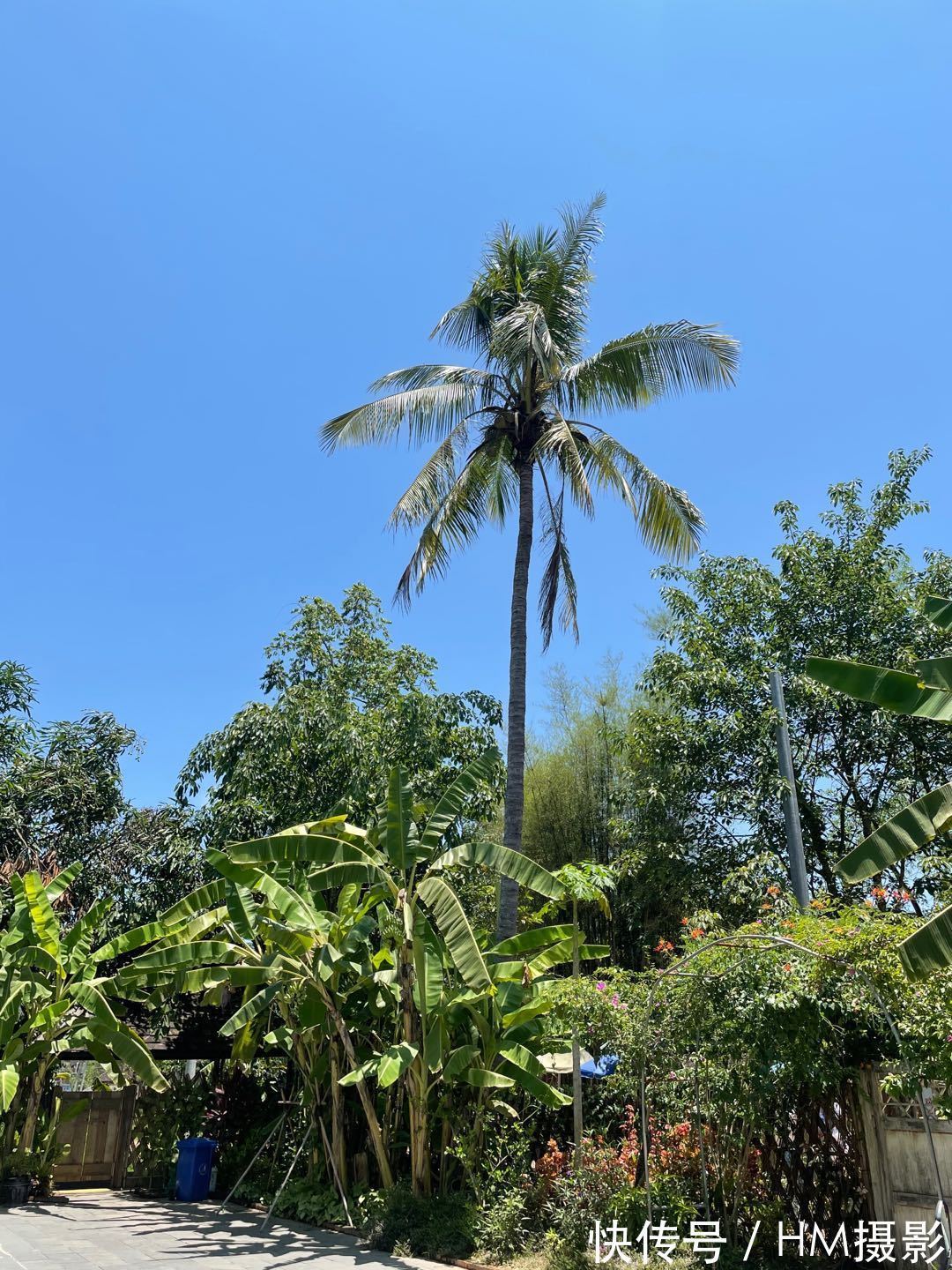 一人|向往的生活蘑菇屋收費參觀,20元一人還送果汁,小院實在太美了