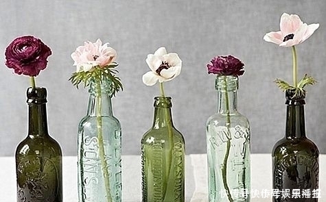 花盆|你还在花钱买花盆吗?别买了,自制花盆,比买的好看的多了