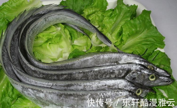 银粉|买带鱼别只看价格，学会3个挑选技巧，买到好带鱼，煎炸都好吃