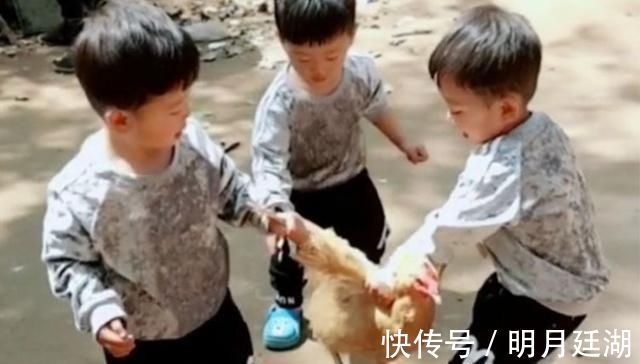 三胞胎|宝妈带三胞胎回娘家,三胞胎正合谋杀鸡,妈妈进门看到乐坏了