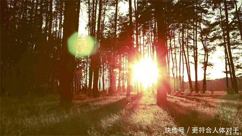  冬至|冬至前4天做这几件事，散掉身体1年的寒气