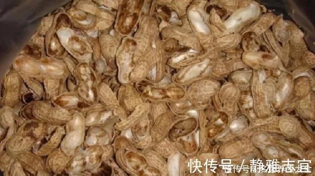 玉米棒|“积鼠成山”，老鼠在经过电击之后，都往角落堆