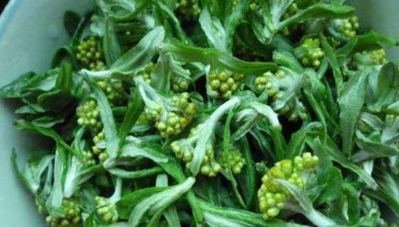 我们农村到处可见的野草，却可降血压，治咳嗽，小孩老人很爱食用