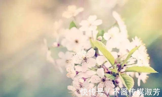 丰子恺|生活哲理：人到中年，我们应该看透的3个生活真相